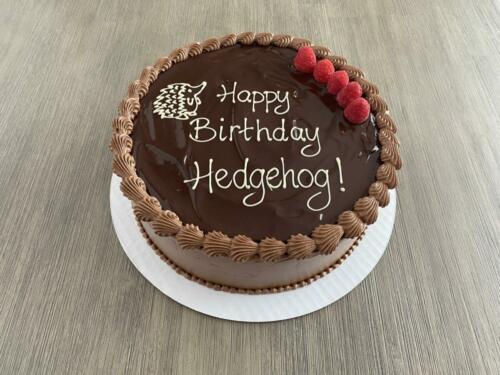 Chocolate Hedgehog Cake