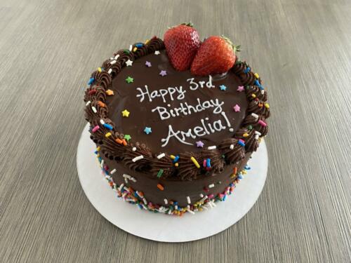 Vegan Chocolate Sprinkles Cake